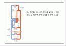 순환기계 (circulatory system) 15페이지