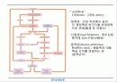 순환기계 (circulatory system) 18페이지