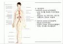 순환기계2 2페이지