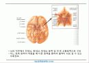 순환기계2 3페이지