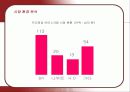 콜드스톤 아이스크림의 마케팅 전략 8페이지