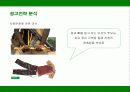 베네통의 생산, 물류, 광고전략 21페이지