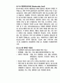 유럽 자전거 여행계획서 19페이지