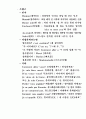 유럽 자전거 여행계획서 27페이지