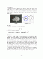 알칼로이드 7페이지