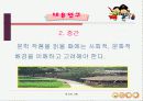 난쟁이가 쏘아 올린 작은 공 ppt 9페이지