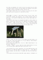 human genome project 2페이지