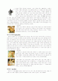 그리스 로마 신화 15페이지