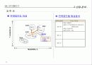 중장기 경영전략 40페이지