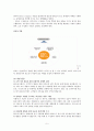 [A+] SK브로드밴드 기업조사 5페이지