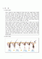 탈모와 관련하여 2페이지