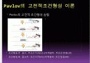 학습이론 - ppt 5페이지