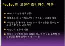 학습이론 - ppt 6페이지