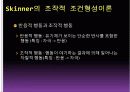 학습이론 - ppt 12페이지
