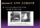 학습이론 - ppt 13페이지