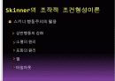 학습이론 - ppt 17페이지