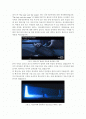 안락사에 대한 보고서 입니다. 2페이지