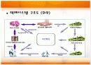 물류혁신사례(대한통운:TPL) 21페이지