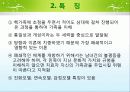 보웬의 세대간(다세대) 가족치료 이론 및 사례적용 파워포인트 12페이지