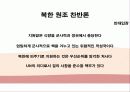북한의 핵문제 15페이지