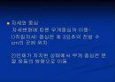 운동역학 중심의 안정성 12페이지