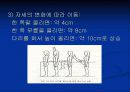 운동역학 중심의 안정성 13페이지