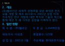 [쉘라인]쉘라인 아프리카 시장 진출전략 PPT자료 5페이지