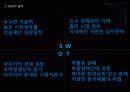 [쉘라인]쉘라인 아프리카 시장 진출전략 PPT자료 8페이지