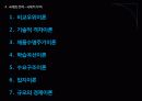 [쉘라인]쉘라인 아프리카 시장 진출전략 PPT자료 13페이지