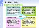청소년기 정신건강 파워포인트 PPT(성격과 대인관계, 전공과 진로, 이성교제와 친밀감, 음주와 생활습관, 군생활의 적응) 44페이지