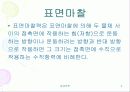 마찰력과 스포츠 5페이지