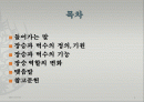 장승에 관해서 (정의, 기원, 기능, 역할변화등) 발표용 2페이지