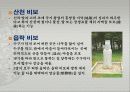 장승에 관해서 (정의, 기원, 기능, 역할변화등) 발표용 9페이지