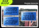 외상과 정신건강 파워포인트 PPT(PTSD,외상후스트레스장애,성폭력,가정폭력,학교폭력,강간) 6페이지