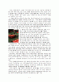 아스테릭스(Asterix & Obelix Contre Cesar) 감상문 2페이지