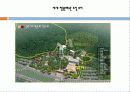경주세계엑스포 상시개장을 위한 하드웨어적 활성 25페이지