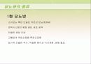 1형 당뇨병과 면역학 10페이지