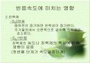 친핵성 치환반응 11페이지