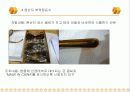 원산지 위반사례 12페이지