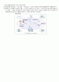 SCM(supply chain management. 공급망 관리) _ 유통SCM _ 편의점 등 19페이지
