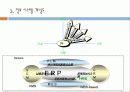(주)만도기계의 ERP도입과정과 ISP수립절차 46페이지