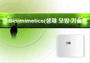 생체모방기술 1페이지
