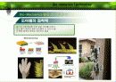 생체모방기술 26페이지