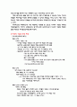 국제광고전략의 이해와 사례 4페이지