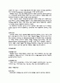 국제광고전략의 이해와 사례 14페이지