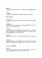 국제광고전략의 이해와 사례 15페이지