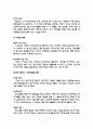 국제광고전략의 이해와 사례 16페이지