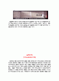 국제광고전략의 이해와 사례 58페이지