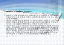 보험계약법 6절 보험계약의 섭립  12페이지