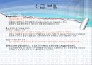 보험계약법 6절 보험계약의 섭립  14페이지